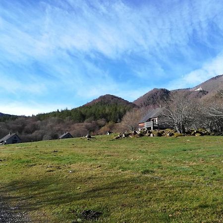 Les Chalets De La Foret D'Issaux Osse-en-Aspe エクステリア 写真