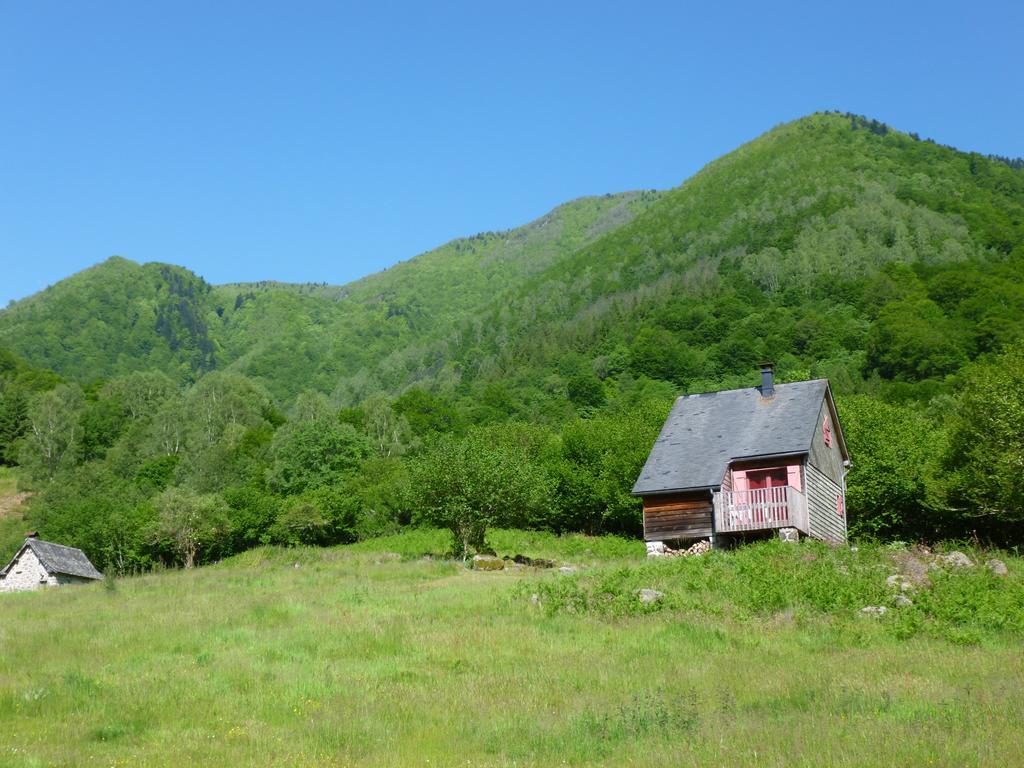 Les Chalets De La Foret D'Issaux Osse-en-Aspe エクステリア 写真