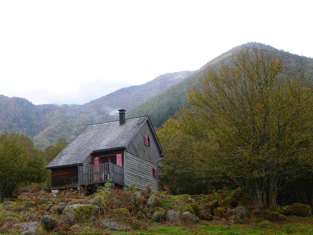 Les Chalets De La Foret D'Issaux Osse-en-Aspe エクステリア 写真