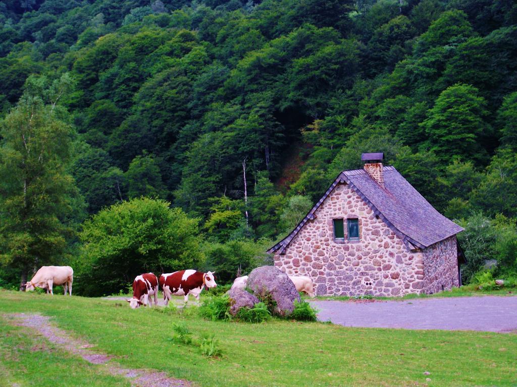 Les Chalets De La Foret D'Issaux Osse-en-Aspe エクステリア 写真