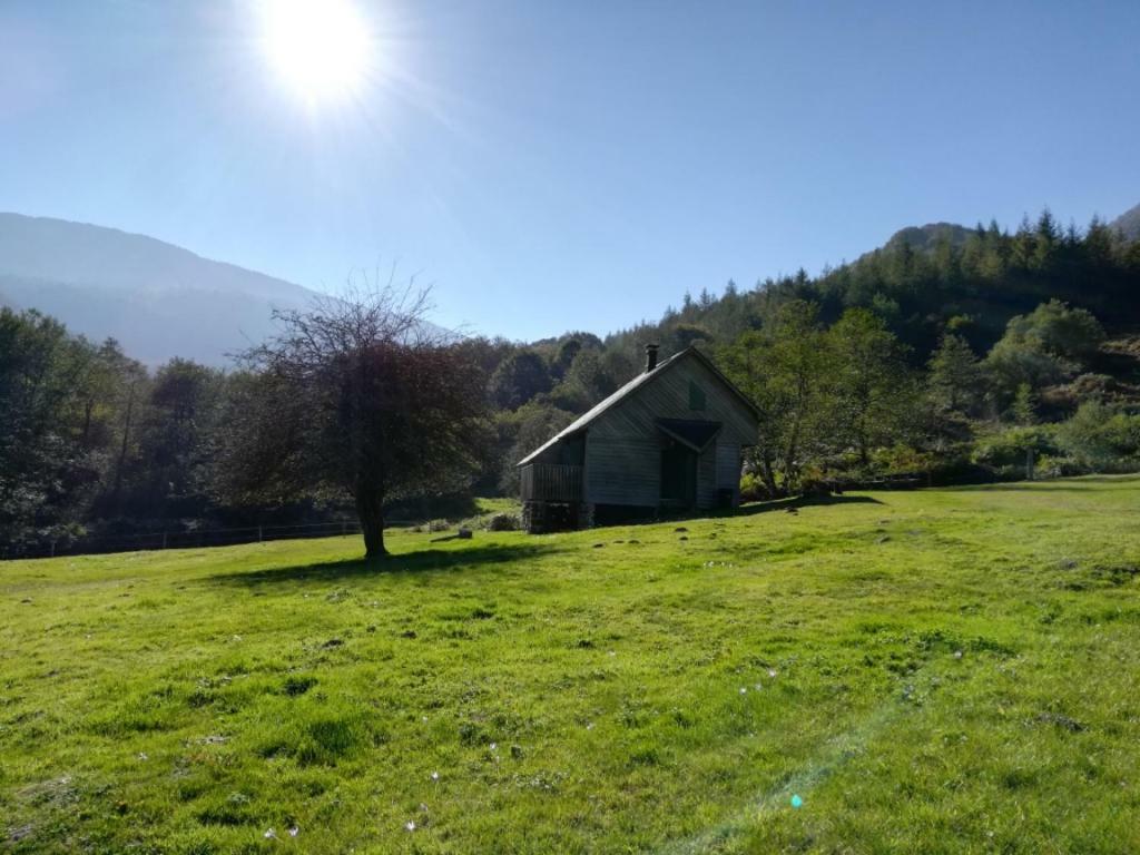 Les Chalets De La Foret D'Issaux Osse-en-Aspe エクステリア 写真