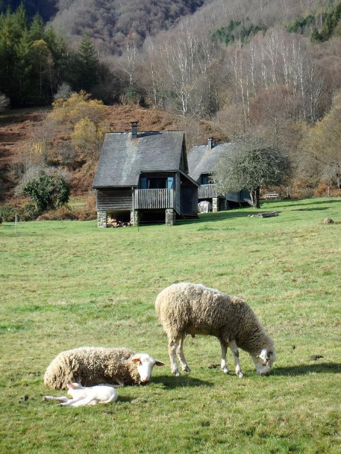 Les Chalets De La Foret D'Issaux Osse-en-Aspe エクステリア 写真